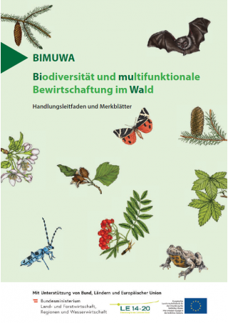 Biodiversität und multifunktionale Bewirtschaftung im Wald