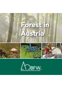 Forest in Austria