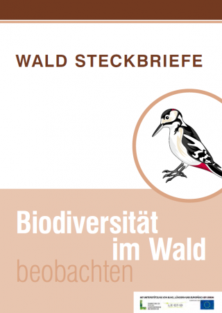 Wald Steckbriefe