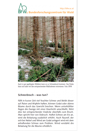 Merkblätter - Waldschutz 2019/1