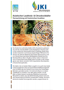 Merkblätter - Waldschutz 2015/2