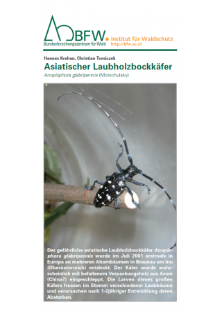 Merkblätter - Waldschutz 2015/1