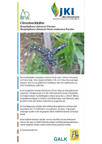 Merkblätter - Waldschutz 2012/1