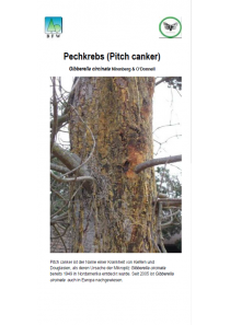 Merkblätter - Waldschutz 2009/1