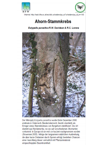 Merkblätter - Waldschutz 2007/1