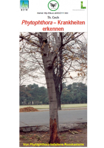 Merkblätter - Waldschutz 2004/2