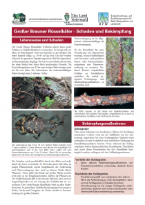 Merkblätter - Waldschutz 2004/1