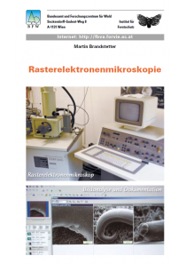 Merkblätter - Waldschutz 2002/1