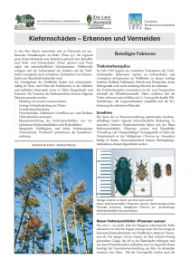 Merkblätter - Waldschutz 2001/1