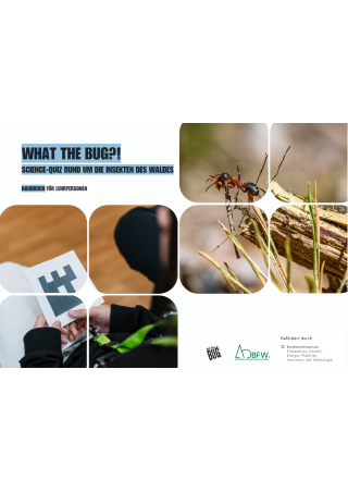 What The Bug?! Science-Quiz rund um die Insekten des Waldes