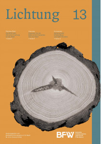 Lichtung 13