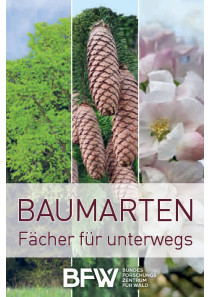 Baumartenfächer