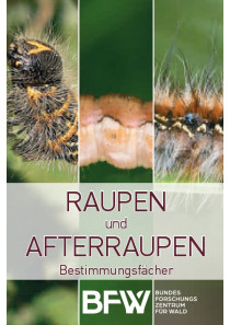 Raupen und Afterraupen