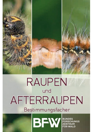 Raupen und Afterraupen