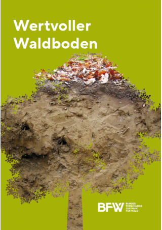 Wertvoller Waldboden