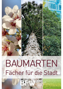 Baumarten: Fächer für die Stadt