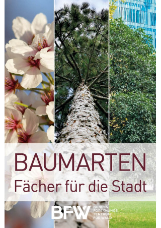 Baumarten: Fächer für die Stadt