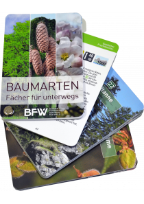 Baumartenfächer 2
