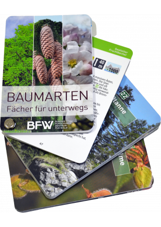 Baumartenfächer