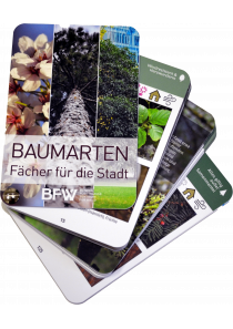 Baumarten: Fächer für die Stadt 2