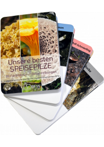 Speisepilzfächer 2
