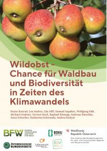 Wildobst