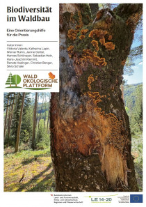 Biodiversität im Waldbau