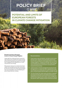 Policy Brief 2025 - Potential and limits of european...