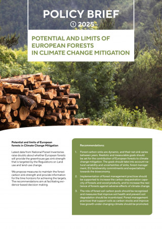 Policy Brief 2025 - Potential and limits of european forests in climate change mitigation