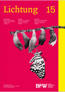 Lichtung 15 - Transformation