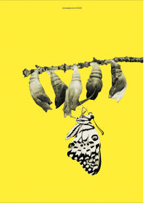 Lichtung 15 - Transformation 2