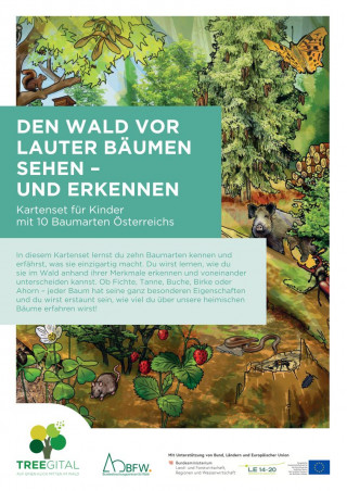 Kartenset: Den Wald vor lauter Bäumen sehen -...