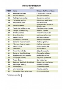 Baumpilzfächer 2