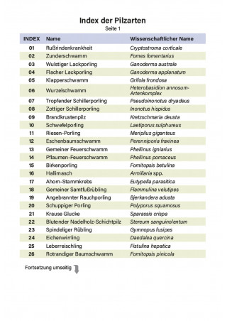 Baumpilzfächer
