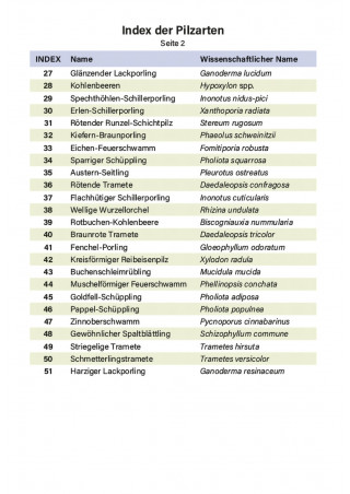 Baumpilzfächer