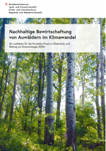 Nachhaltige Bewirtschaftung von Auwäldern im Klimawandel