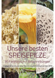 Speisepilzfächer