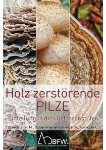Baumpilzfächer