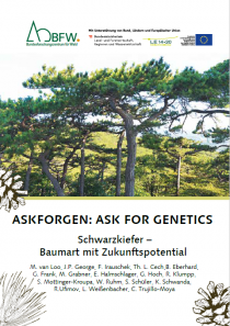 ASKFORGEN: Ask For Genetics. Schwarzkiefer – Baumart mit...